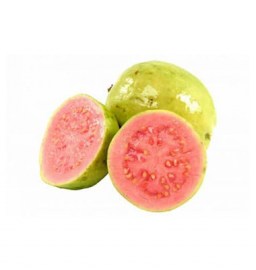 GUAYABA